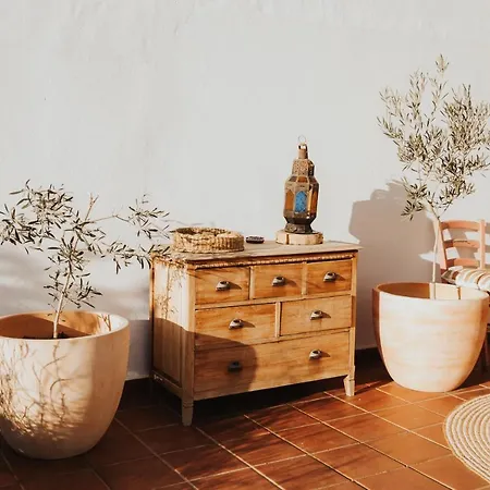 Apartment Casademeli ¡garden And 5 Min Walk To The Beach!